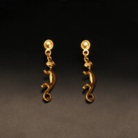 cercei-atarnatori-maimuta-v2-cultura-narino